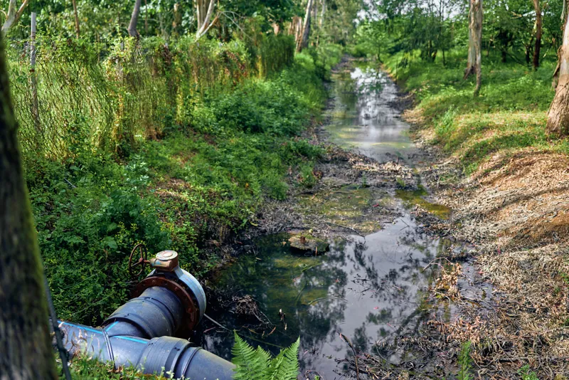 Pipe and stream with visible pollution near drainage channel and river edge, nature scene with trees and slow water flow, contaminated bank and vegetation in rural landscape.