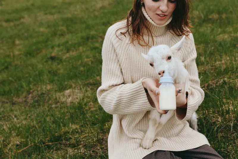 Cheerful woman outdoors, feeding a baby goat with a bottle, cozy sweater moment, gentle sunlight, peaceful field, natural colors, wholesome countryside lifestyle, calm connection