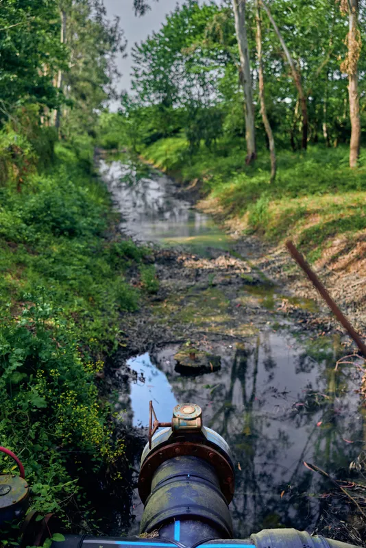 Pipe discharging into creek with visible pollution and rust, water pooling in a forest channel with muddy banks, vegetation and sediment showing rural drainage and environmental impact.