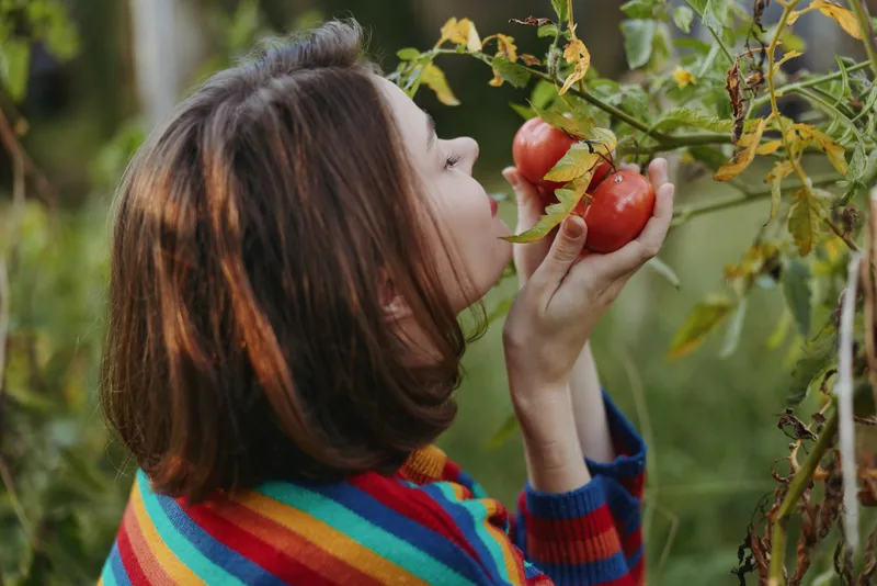 Young woman in a colorful striped sweater smelling a ripe tomato in a backyard garden, homegrown harvest moment, peaceful lifestyle and organic gardening portrait.