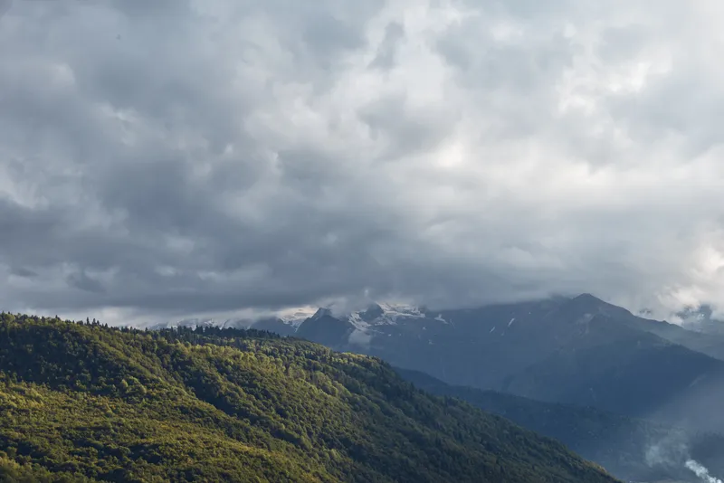 Mountain cloud mist forest landscape