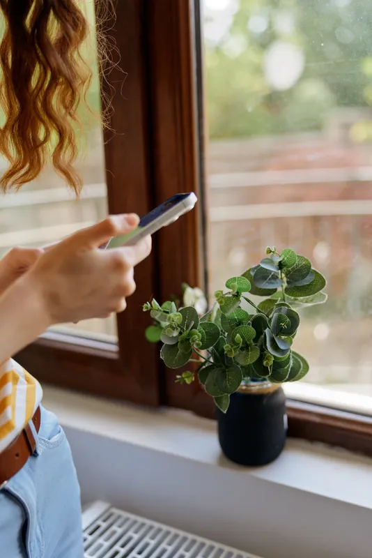 Young woman stands by a sunlit window scrolling on her smartphone, a small leafy plant on the sill beside her creating a calm, cozy home moment.
