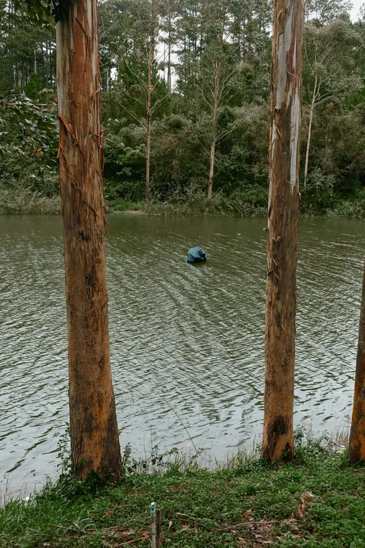 A serene scene featuring a lone figure in blue clothing on a tranquil lake surrounded by lush trees, showcasing nature s beauty and calmness