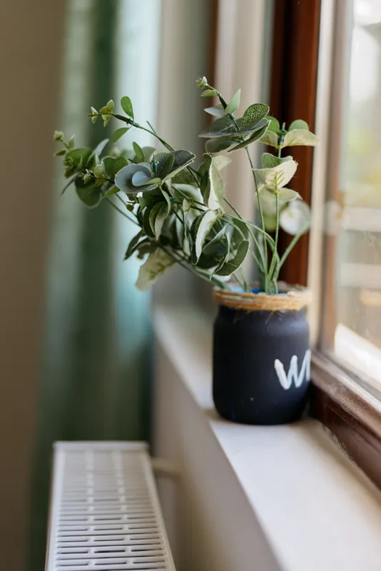 A single potted plant on a wooden windowsill bathed in soft natural light, green leaves reaching toward the glass, creating a calm, cozy indoor mood suitable for home decor and lifestyle scenes.
