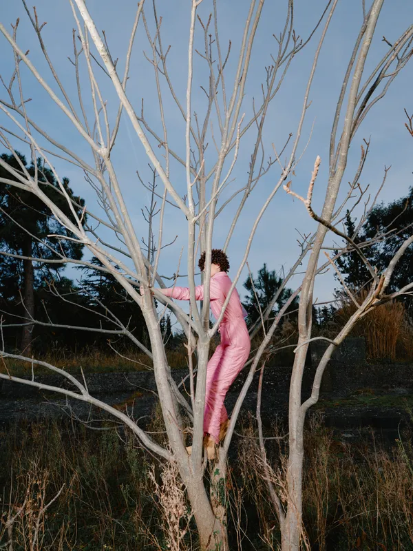 Tree, person, outdoors, pink, climbing, nature, branch, landscape in daylight a solitary figure climbs a leafless tree conveying bold ascent fashion balance and quiet wilderness in an open field
