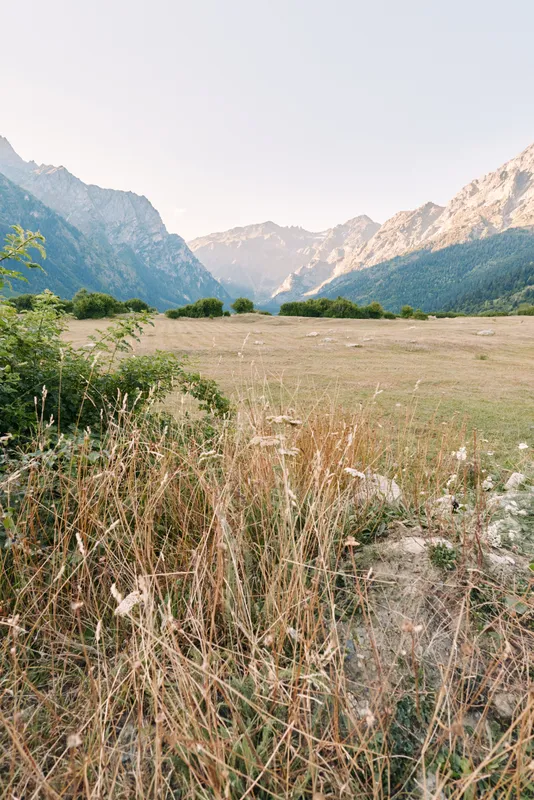 Meadow mountains valley grassland wildflowers landscape nature field with dry grasses and wildflowers in foreground, open plain leading to distant rocky peaks under a pale sky.
