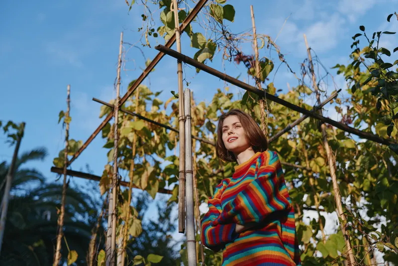 Woman sweater plants trellis outdoors smiling portrait garden. Young woman in colorful striped sweater stands among tall vines on bamboo trellis, warm sunlight and blue sky.