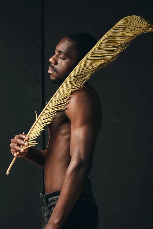 African man with dark skin holding large golden leaf in creative conceptual visual style. Artistic portrait with closed eyes and bare torso on dark background for modern expression.