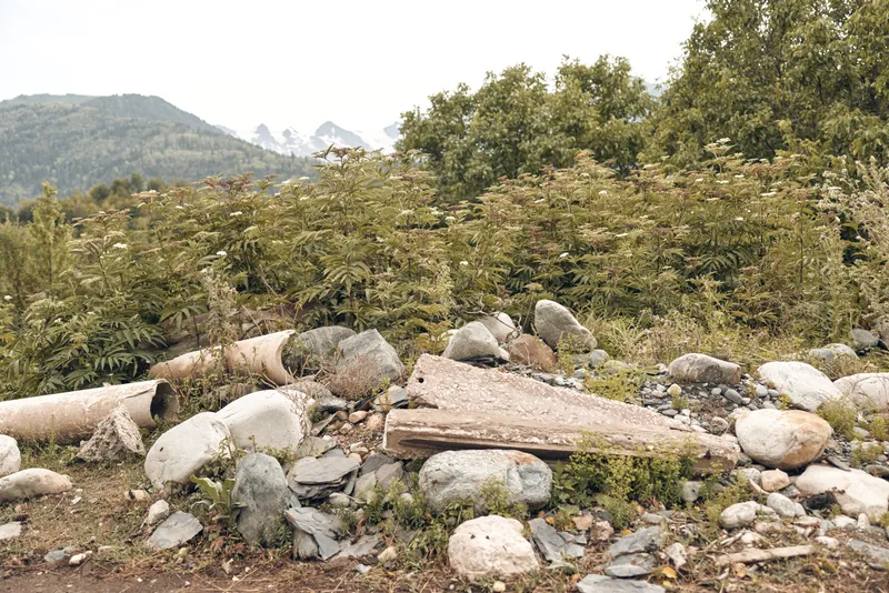 Rocks boulders driftwood riverbed shrubs mountains, rocky shoreline with logs and wild vegetation