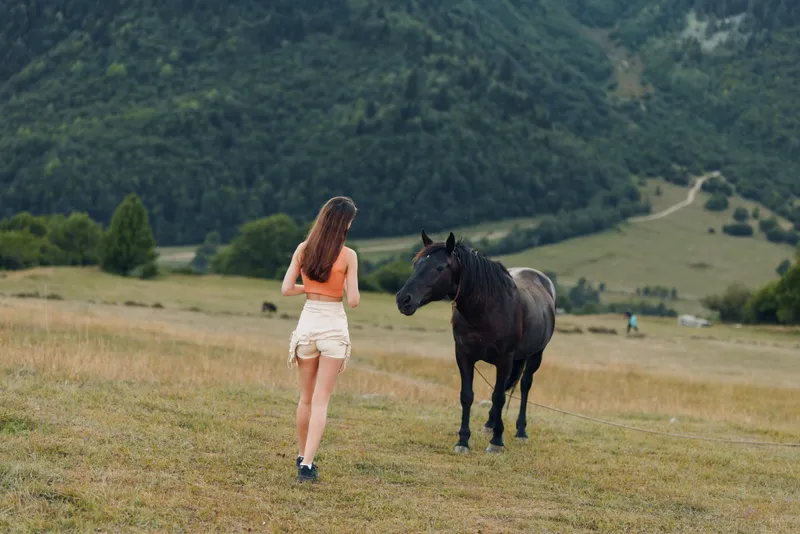 A woman walks toward a horse across a wide meadow, with rolling hills and distant trees creating a peaceful countryside scene under a bright sky.