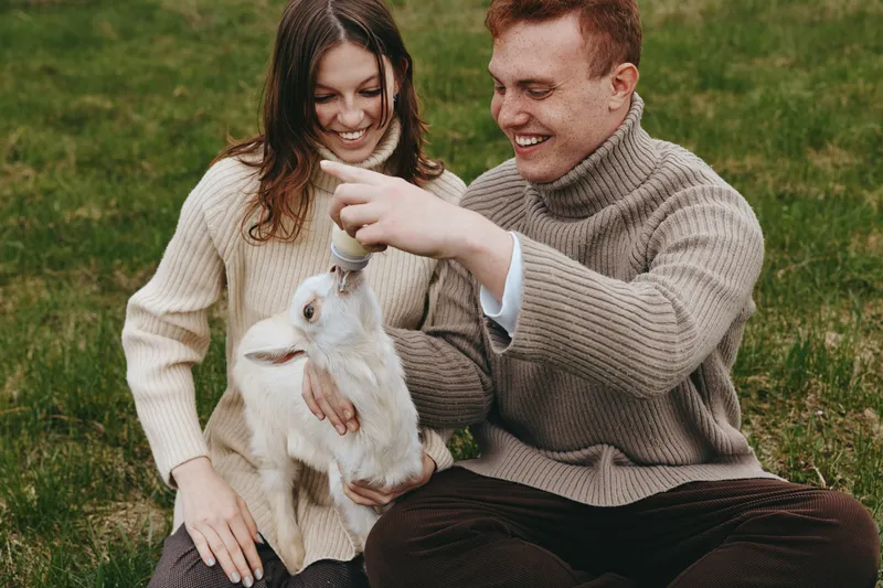Cheerful couple outdoors, feeding a playful goat kid, warm sweater tones, sunlit grass, candid moment of connection, relaxed posture, natural colors, tranquil countryside backdrop