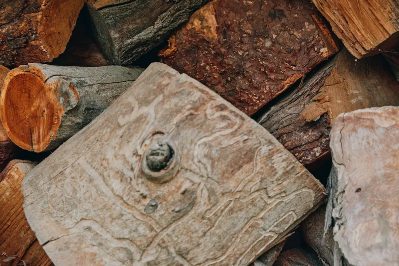 Firewood stacked firewood woodpile chopped logs bark texture dry wood closeup timber in a rustic cabin backyard supply for fireplace, autumn season cozy lifestyle and travel scene