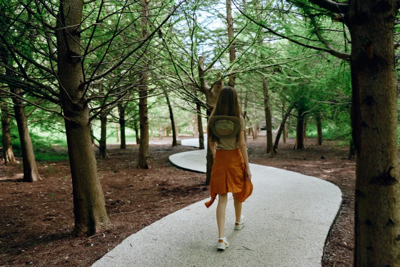 Woman backpack path forest walking trees trail nature: young female with backpack walking a winding gravel path through dense trees in a peaceful park, summer outdoor nature hike.