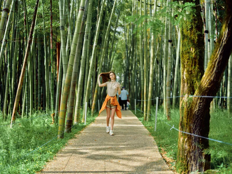 Woman walking along a bamboo path in a lush forest, tourist enjoying nature and trees on a sunny trail, casual portrait and relaxed stroll on a scenic walkway for travel.