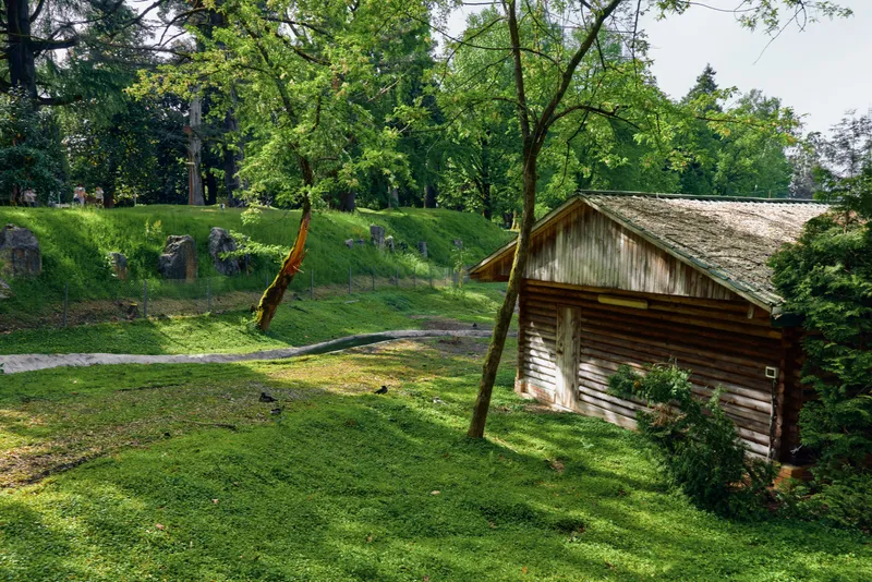 Cabin, grass, trees, forest, wooden, countryside cottage by dirt path in green parkland, rustic log house surrounded by lush summer foliage and shaded lawn near walking trail.