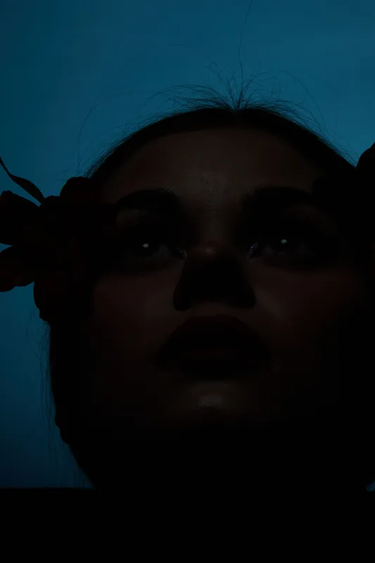 Dark silhouette portrait of a young woman with floral elements, conveying mystery and emotion against a deep blue background
