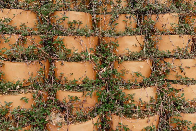 Layered terracotta pots overgrown with green ivy, creating a lush and vibrant garden aesthetic ideal for nature related themes or home decor inspiration