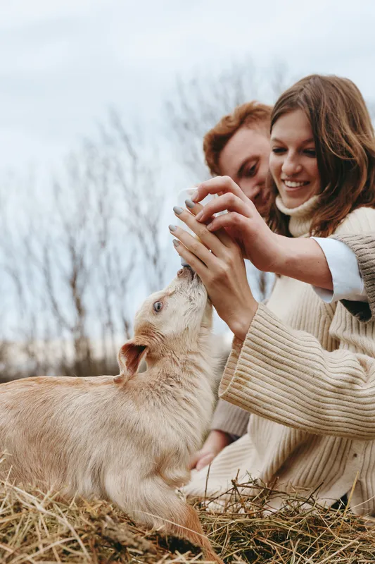 Two people share a warm moment outdoors, feeding a curious goat kid. Soft light, casual sweaters, and a gentle bond highlight a simple lifestyle scene.