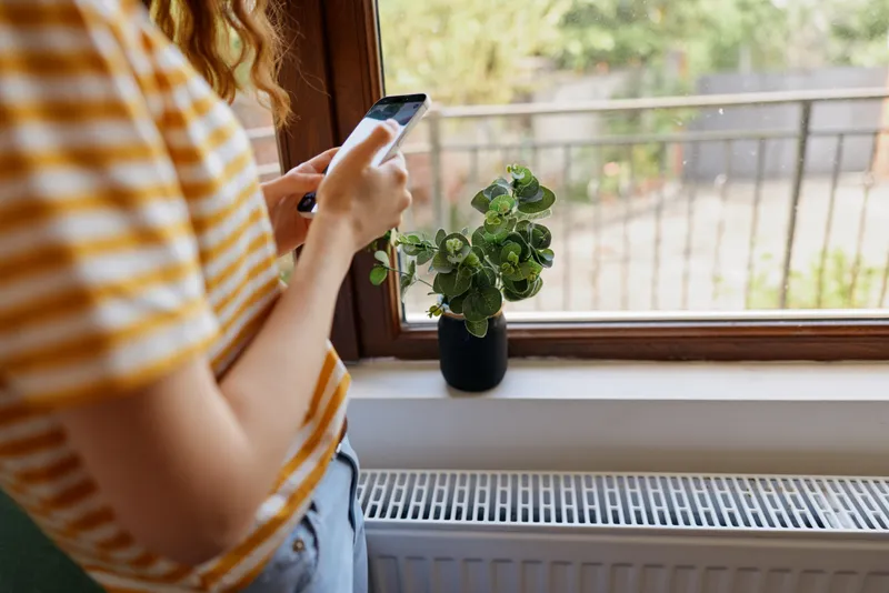 A woman in a striped shirt stands by a window, scrolling on a smartphone, with a small potted plant nearby. A cozy home moment illustrating everyday technology use and calm mood.
