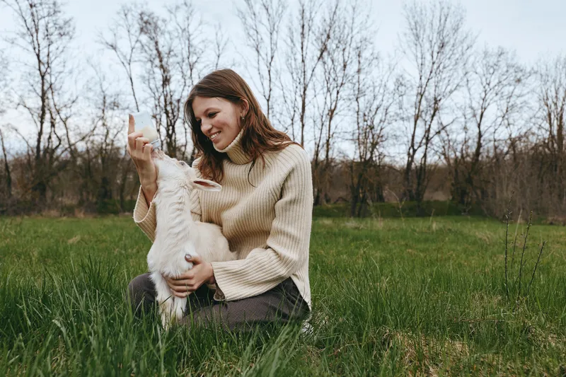 Woman sits in a green field with a playful kid goat, embracing the animal in a cozy sweater, enjoying a peaceful outdoor lifestyle and sunny atmosphere