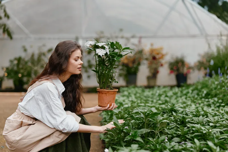 A woman in casual clothing nurturing a potted plant in a greenhouse, showcasing dedication to gardening and a love of nature with soft, natural light