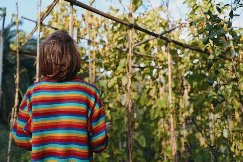 Woman in a vibrant striped sweater in a garden trellis, back view of a 30s female inspecting climbing plants, casual outfit, brown hair, contemplative outdoor lifestyle scene.