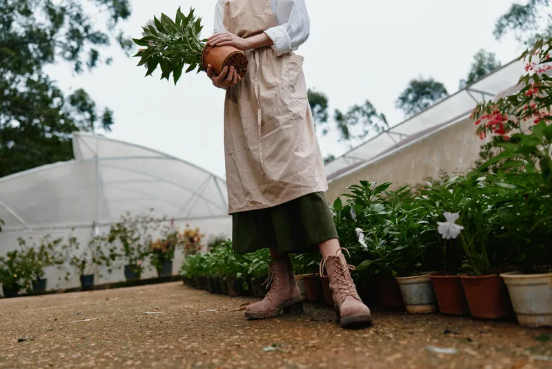 Woman in apron holding a potted pineapple plant in a greenhouse, embodying passion for gardening and nature Earthy tones, emotional connection, and seasonal growth
