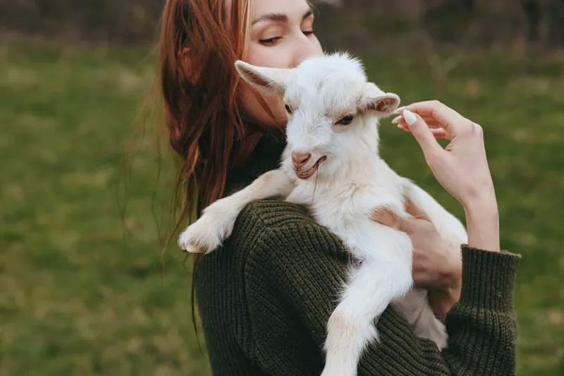 Goat, kid, woman outdoors, tender moment as she holds a gentle goat kid, sunlit grass, casual sweater, natural colors, candid lifestyle scene, outdoor companionship