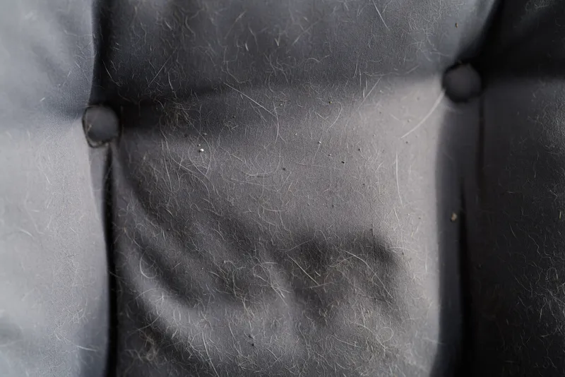 Close up of black leather sofa surface with visible scratches and wear marks showing texture and signs of aging on furniture upholstery, detailed background image.