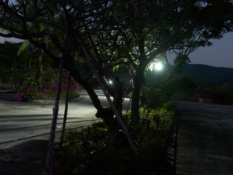 dimly lit outdoor pathway at night with trees and streetlights casting soft glows, creating a quiet and serene atmosphere in a natural setting