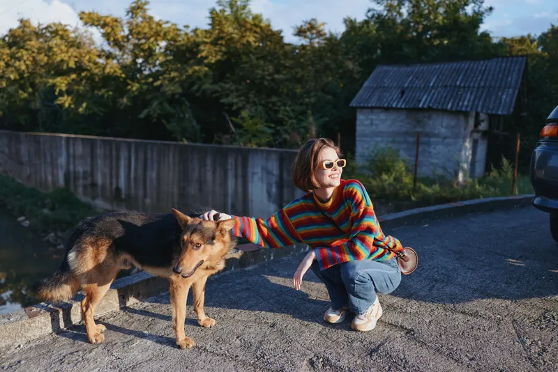 Woman dogs petting countryside sweater sunglasses, crouching by road near fence and barn, smiling owner bonding with loyal german shepherd companions in warm outdoor lifestyle moment.