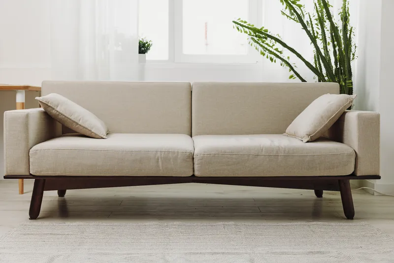 Modern beige sofa with cushions sits in bright living room near green plant and window, creating cozy and minimalist interior design concept.