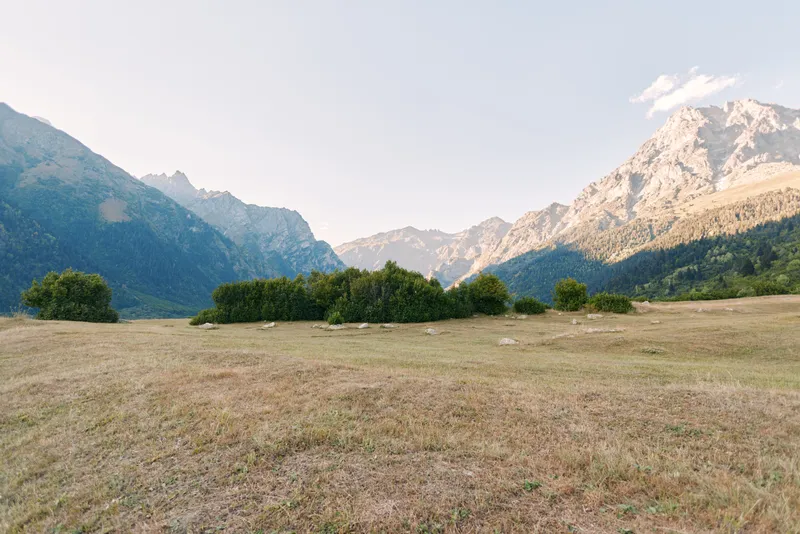 Meadow mountains valley shrubs grassland nature landscape alpine scenic outdoor view of open field with low bushes and distant sunlit peaks under clear sky for travel and calm.