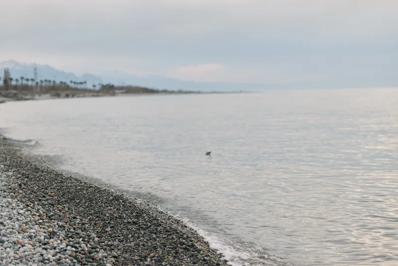 Pebble beach with calm sea under cloudy sky during daytime. Distant mountains and palm trees visible. Concept of nature, peace, and coastal landscape.