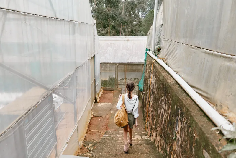 A young woman carrying a bag walks down the stairs in a greenhouse, showcasing sustainability, nature, and eco friendly lifestyle