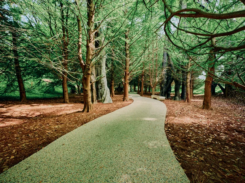 Path, trees, forest, walkway, trail, park in a peaceful wooded scene with a winding paved path, green canopy and scattered leaves, inviting walking, stroll and outdoor relaxation.