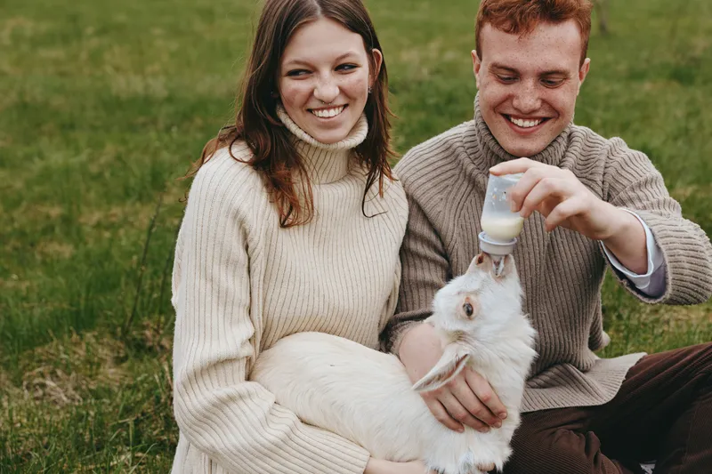 Smiling couple in cozy sweaters feed a white goat kid outdoors in a grassy field, a lifestyle moment of care and bond, with warm natural light and rural calm.