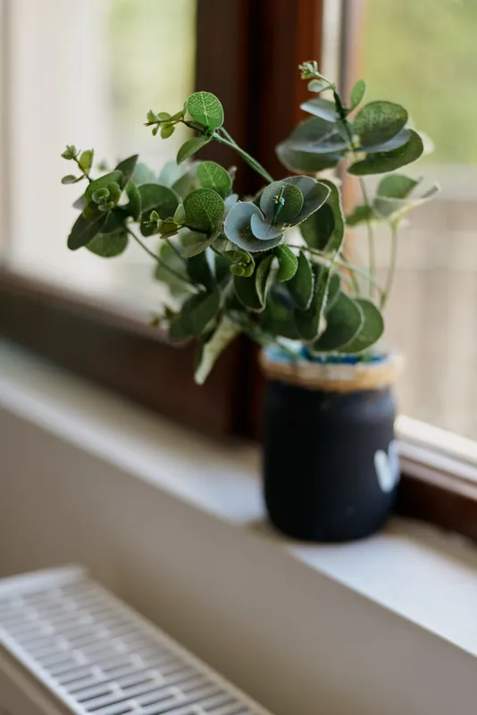 Green leafy plant on a sunny windowsill in a cozy home setting, natural light highlights leaves and stems, creating a calm lifestyle scene focused on simplicity and well being