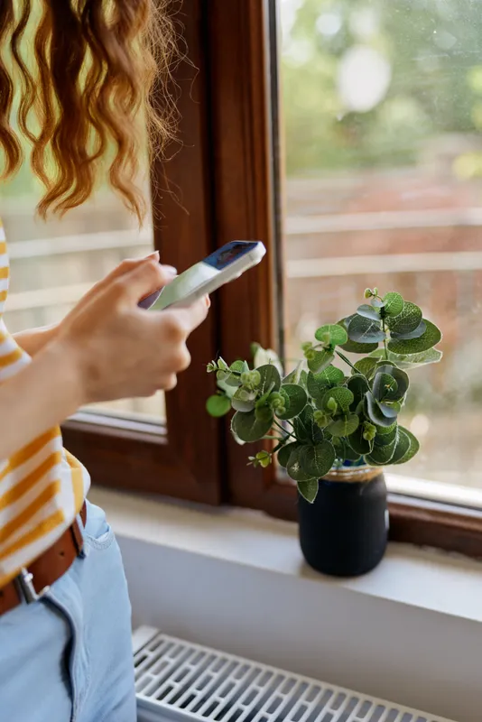 A woman by a bright window scrolls on a smartphone, with a small potted plant nearby. A candid home lifestyle scene emphasizing everyday technology use and calm moments.