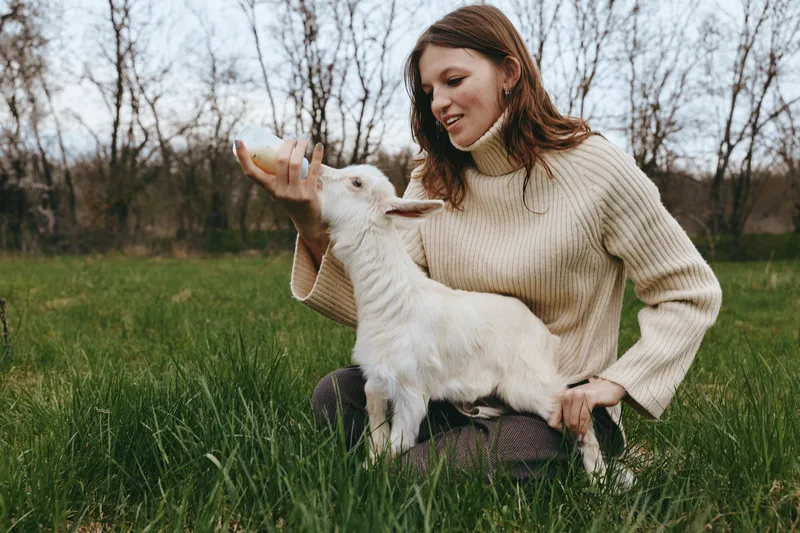A woman sits in a grassy field feeding a young goat, enjoying a calm countryside moment with a playful bond, outdoor life and natural light