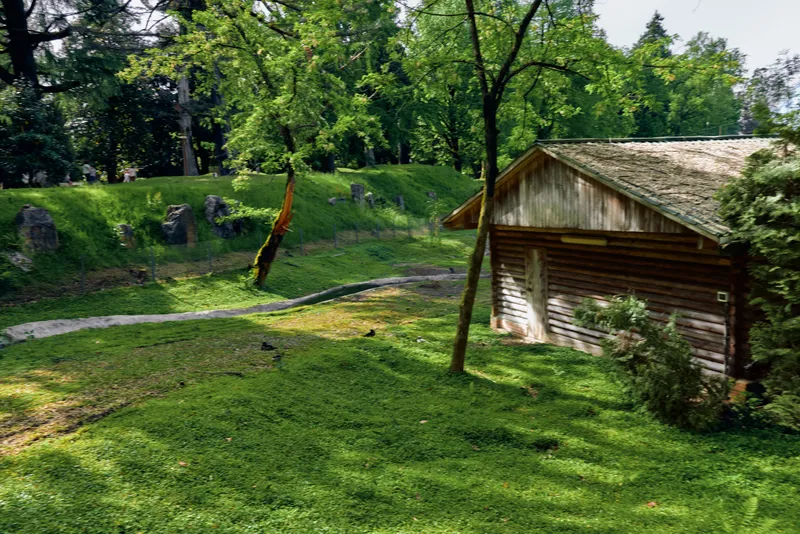 Cabin, grass, trees, path, forest, sunlight: Rustic wooden cabin beside green lawn and shaded trees with a gravel path, peaceful countryside scene for nature, relaxation and outdoor retreat.