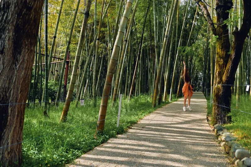 Woman walking along a sunlit bamboo path in a green forest wearing an orange dress, peaceful trail with dappled shadows, serenity and nature trail atmosphere.