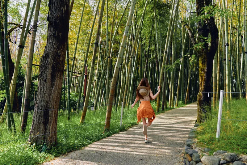 Woman in orange dress and straw hat walking along a gravel path through tall bamboo forest, summer sunlight filtering through green leaves, carefree motion on a nature trail.