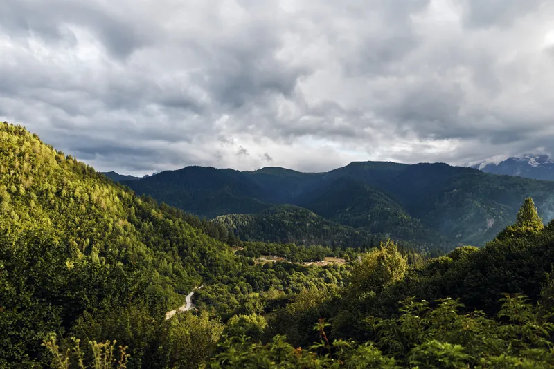 Mountain landscape with dense forest and rolling hills under a dramatic cloudy sky, presenting a serene natural vista for nature and travel projects.