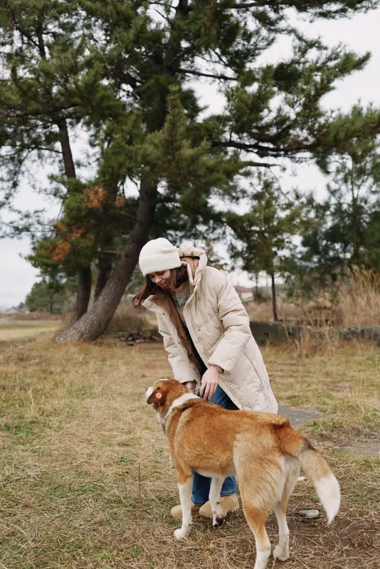 Dog and person outdoors sharing a gentle interaction while walking in the countryside, autumn coat and park setting with leash, calm companionship in a natural active moment