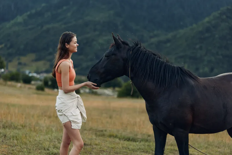 A woman in casual outdoor attire stands in a grassy field, gently reaching toward a large horse. The calm moment conveys trust, companionship, and a peaceful rural atmosphere.