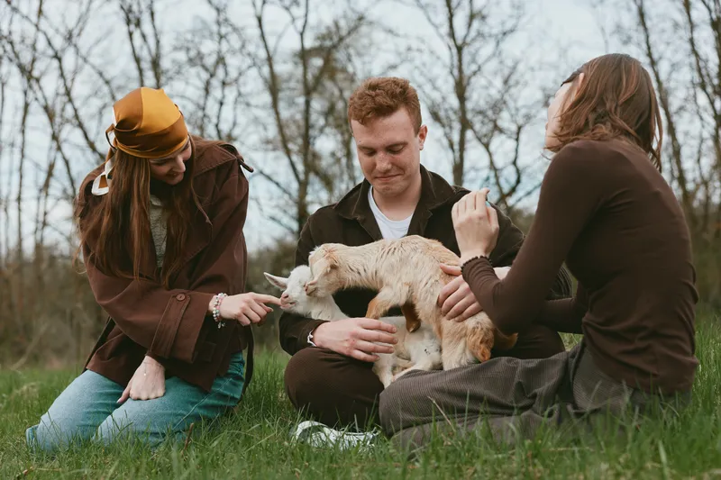 Three people share a playful moment with a goat kid in a grassy meadow, outdoors lifestyle scene. They laugh and interact, showcasing bonding, care, and rustic countryside vibes in natural light.