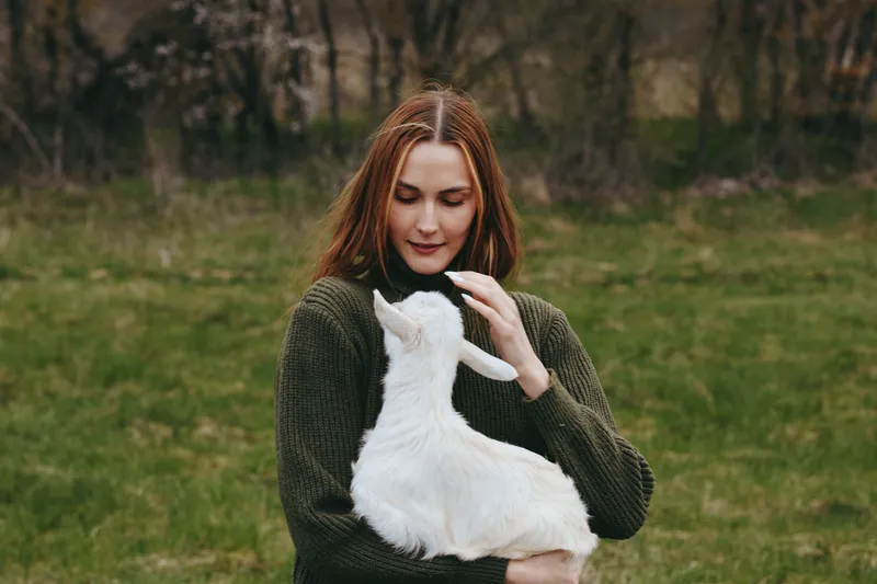 Soft closeup of a woman in a green sweater holding a white goat kid outdoors in a meadow, capturing affection, nature, lifestyle, and gentle bonding. Warm lighting creates a soft mood.