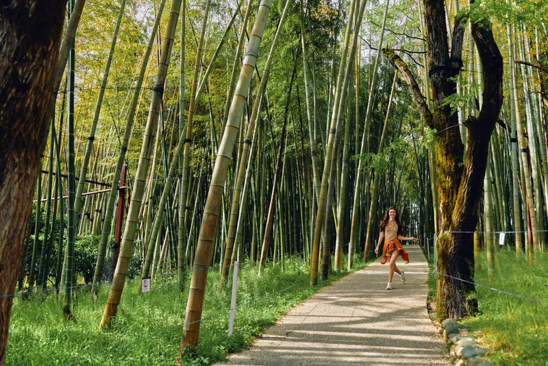 Bamboo forest woman walking on gravel path through tall trees and green nature, sunlight filtering between trunks, summer dress flowing, serene outdoor trail and travel scene.