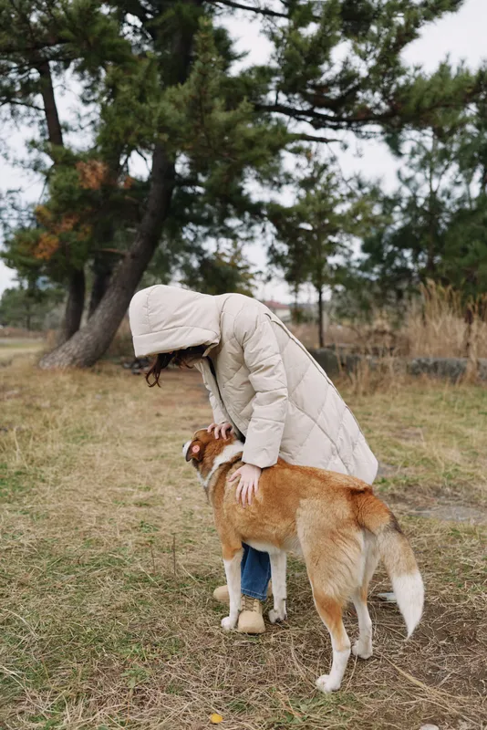 Dog and person outdoors in a grassy field, a warm coat, and gentle petting under trees, capturing a quiet moment of companionship and care in nature.